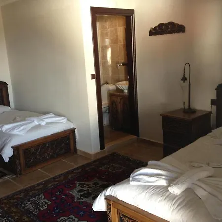 Guest house Nilya 3*