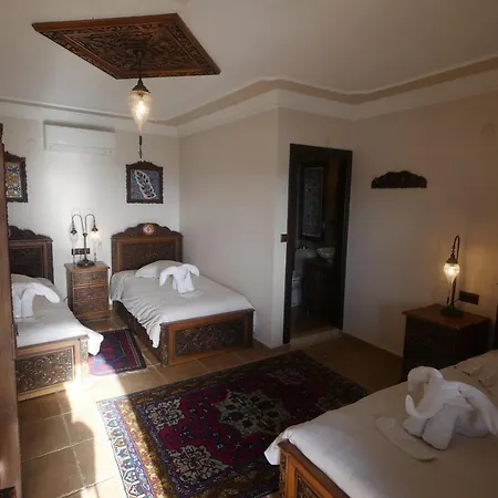Guest house Nilya 3*