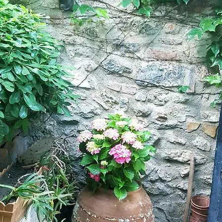 닐리아 3* 셀주크