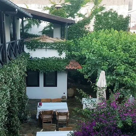 Guest house Nilya