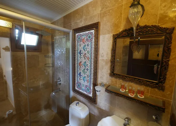 ニルヤ 3* セルチュク