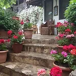 Nilya 3*