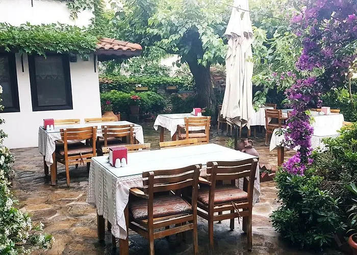 Nilya Selçuk